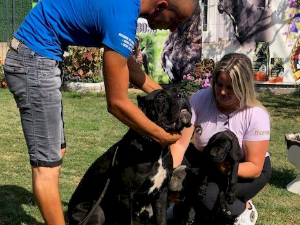 Еду глобал: Зелена архитектура и дизајн