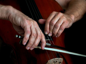 Српски контрабас у Кини