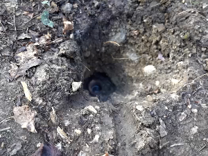 Да ли гејзир у Висибаби крије бању из римског периода