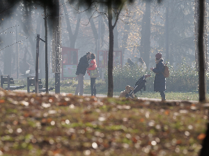 Топлије, током вечери могућа киша – температура до 11 степени