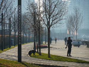 Магловито јутро, током дана сунчано време