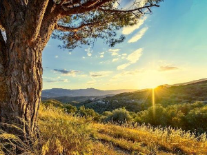 Еко минијатуре: Порука природе