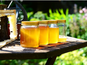 Mед из руке пчелара је најбољи – Европски савез у борби против половине фалсификата 
