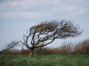 На северу сунчано, у остатку земље борба кишобрана са ветром