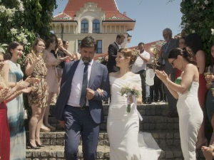 Тајне винове лозе 3