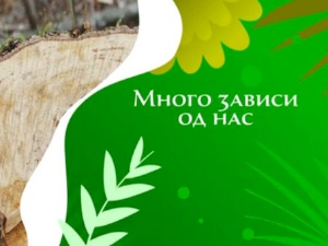 Еко минијатуре: Много зависи од нас – Јована Костић