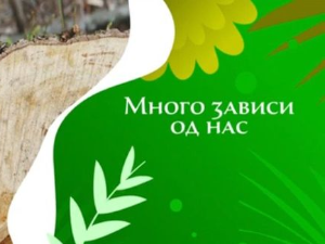 Еко минијатуре: Много зависи од нас – Мајда Адлешић