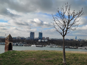 Топло, али ветровито – могућа и киша