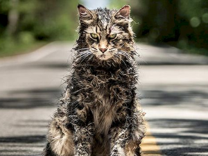 Гробље кућних љубимаца