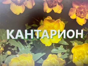 Еко минијатуре