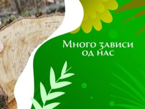 Еко минијатуре