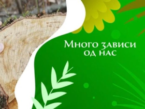 Еко минијатуре