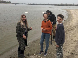 Еко минијатуре: Моменат непажње - инсекти