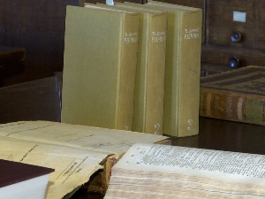 Млохав гркљан и копиле... Безвезе! Која реч је изабрана за најружнију