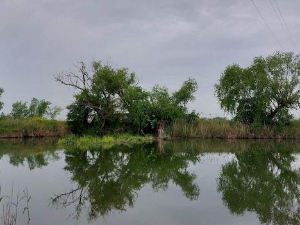 Еко перспективе: Пут до чистих река