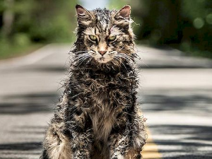 Гробље кућних љубимаца