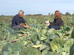 Знање имање-24.11.2024.