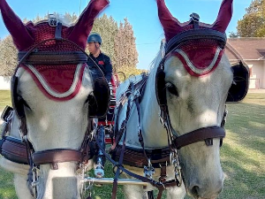 Знање имање: Формула успеха