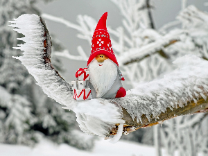 Зимско кулирање