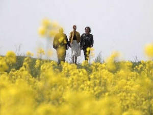 Пут у будућност: У потрази за разлогом слике - Гејминг, 11/12, 2С