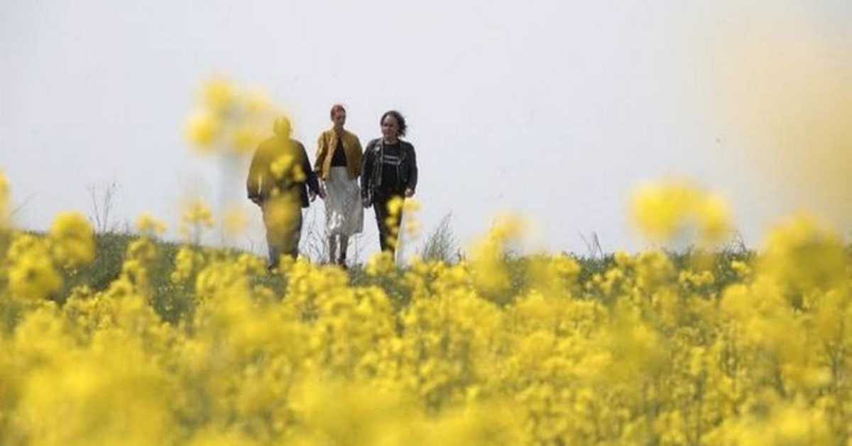 Пут у будућност: У потрази за разлогом слике - Гејминг, 11/12, 2С