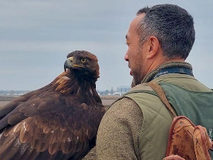 Око магазин-17.12.2024.