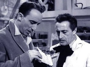 Тото тражи мир