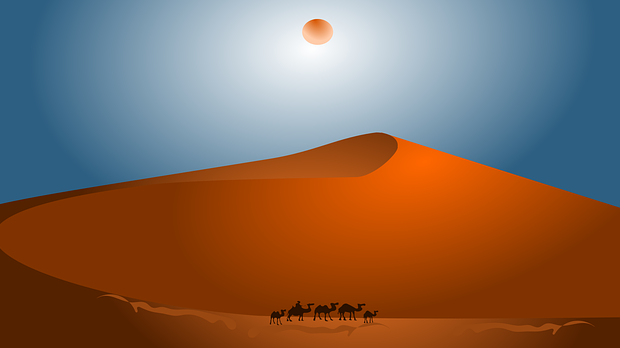 Караван: Хумористичка емисија