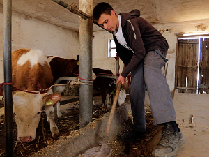 Моја дедовина 2, 1. емисија - Штитар код Шапца