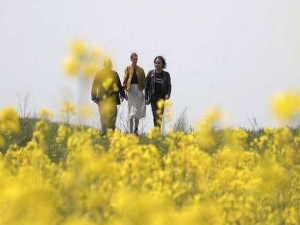 У потрази за разлогом слике - Дизајн за стварни свет, 12/12, 2С