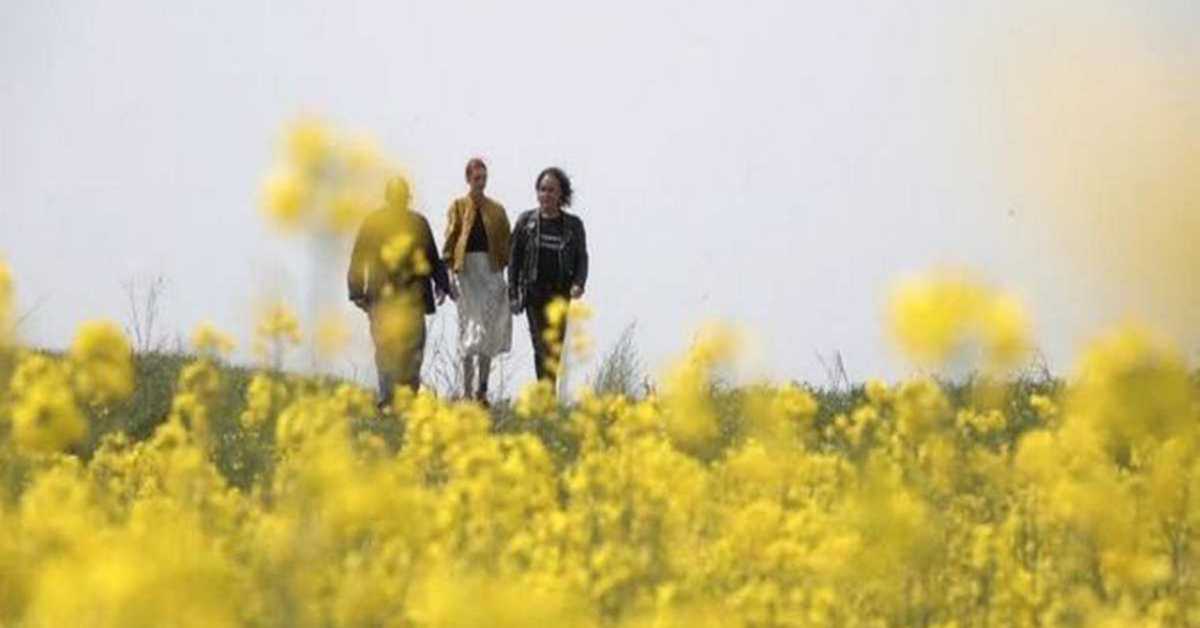 У потрази за разлогом слике - Дизајн за стварни свет, 12/12, 2С