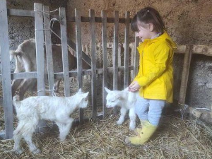 Приступачан програм: Квадратура круга - Најмлађе планинско село у Србији (СЗЈ)