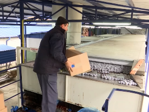 Сушење воћа  унапређено уз домаћу технологију