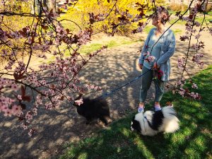Још данас топло и суво, од уторка киша и пад температуре