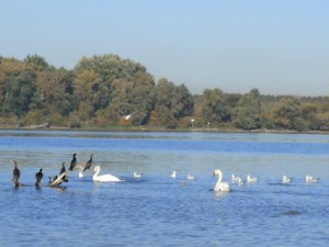 Еко перспективе: Свет у капи воде