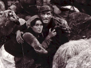 In memoriam Вељко Булајић, Козара