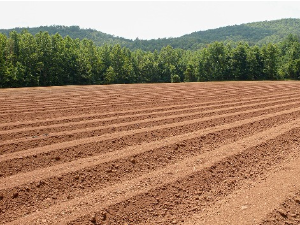 Будућност пољопривреде у условима загађења микропластиком