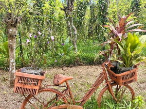 Еко минијатуре