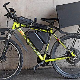 САТ- Илегални бицикли на струју без казне