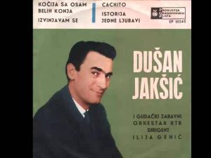 Концерт - Душан Јакшић