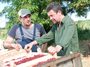 Мој рођак са села