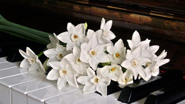 Жене у музици