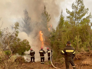 МУП: Апелујемо на грађане да не пале траву и ниско растиње