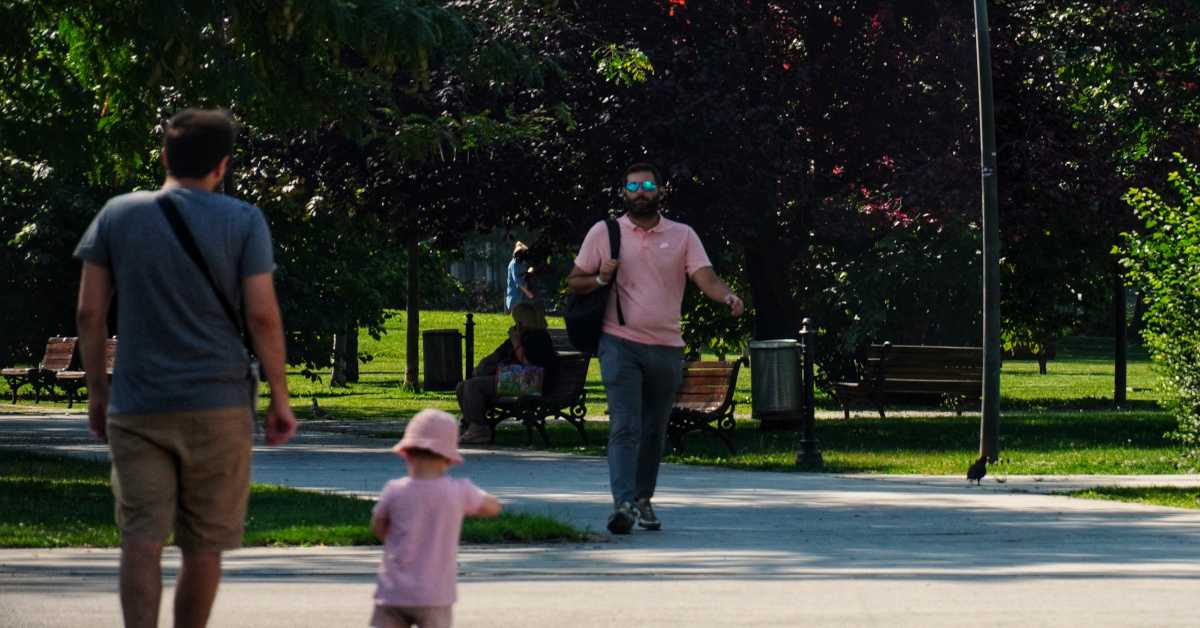 Београд је веома рањив на климатске промене – колико се заправо ради на озелењавању