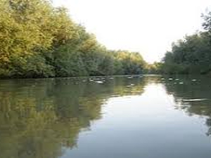 ТВ Београд: Караван – Јадран и Рађевина