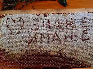 Знање имање-13.8.2023.