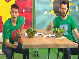 Хемија разбија митове:	Дијета