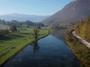 Плива једна једина, 1. део