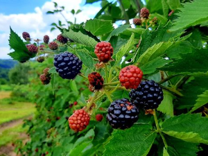 Знање имање: Наши резултати