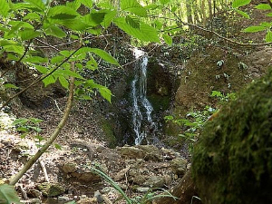Моја лепа Србија-Фрушка Гора, скривене лепоте